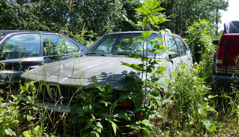 Illustration for article titled A Michigan Town Is Forcing This Man To Sell 20 Old Cars Off His Property Every Month